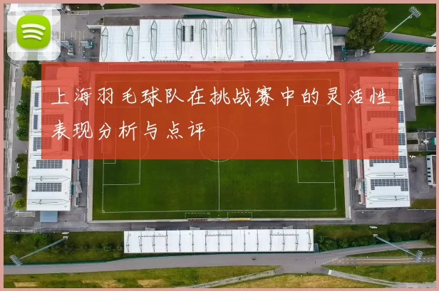 上海羽毛球队在挑战赛中的灵活性表现分析与点评