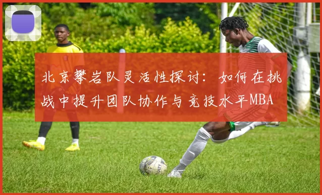 北京攀岩队灵活性探讨：如何在挑战中提升团队协作与竞技水平MBA