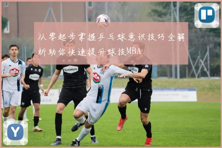 从零起步掌握乒乓球意识技巧全解析助你快速提升球技MBA