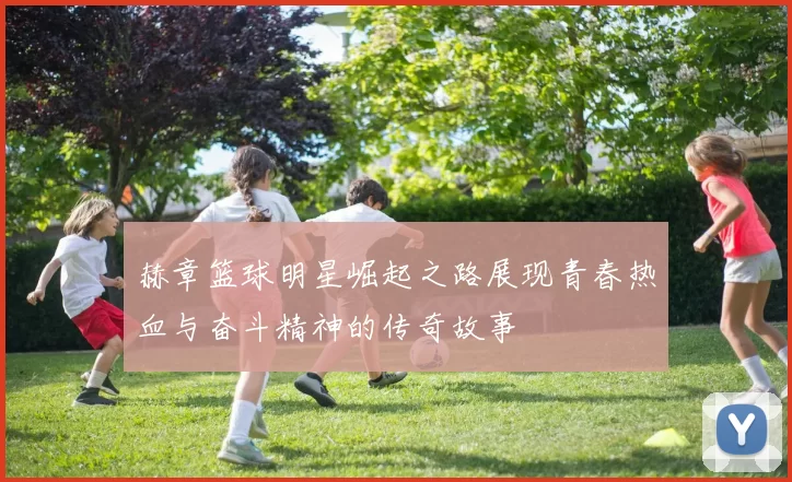 赫章篮球明星崛起之路展现青春热血与奋斗精神的传奇故事