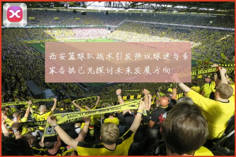 西安篮球队战术引发热议球迷与专家各执己见探讨未来发展方向