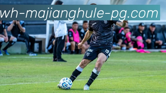 麻将糊了模拟器APP 封面图